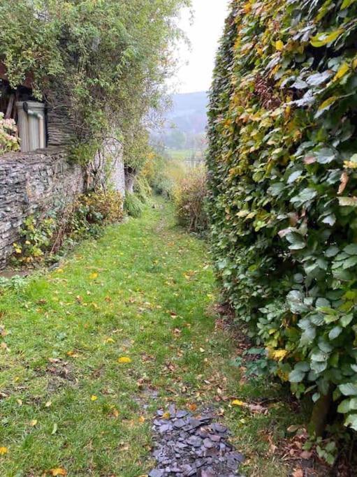 Lovely Peaceful 2 Bed Cottage Llandderfel Exterior photo
